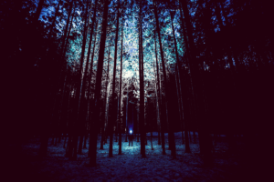 man in the woods at night